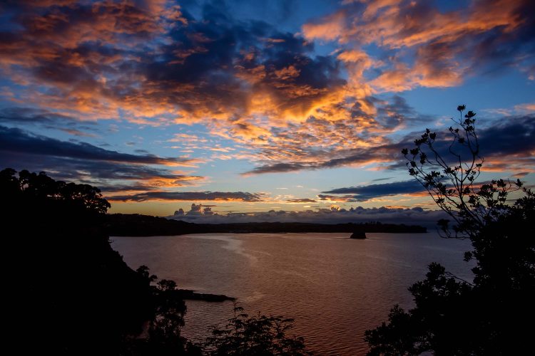 Roscoe Vision NZ online bikini store and bikini photographer based in Whangaparaoa, Auckland, New Zealand.