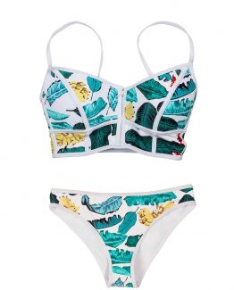 Roscoe Vision NZ online bikini store and bikini photographer based in Whangaparaoa, Auckland, New Zealand.