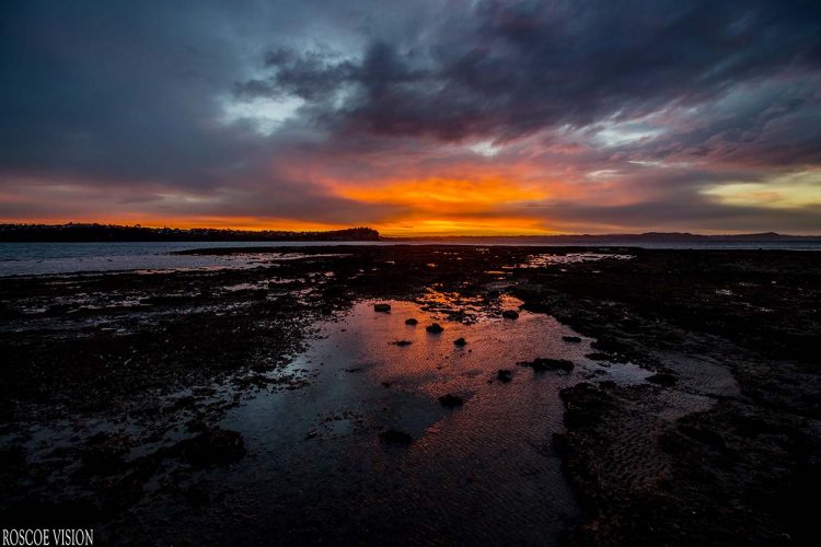 Roscoe Vision NZ online bikini store and bikini photographer based in Whangaparaoa, Auckland, New Zealand.